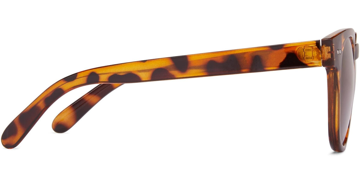 Inverness Bifocal - Reading Sunglasses