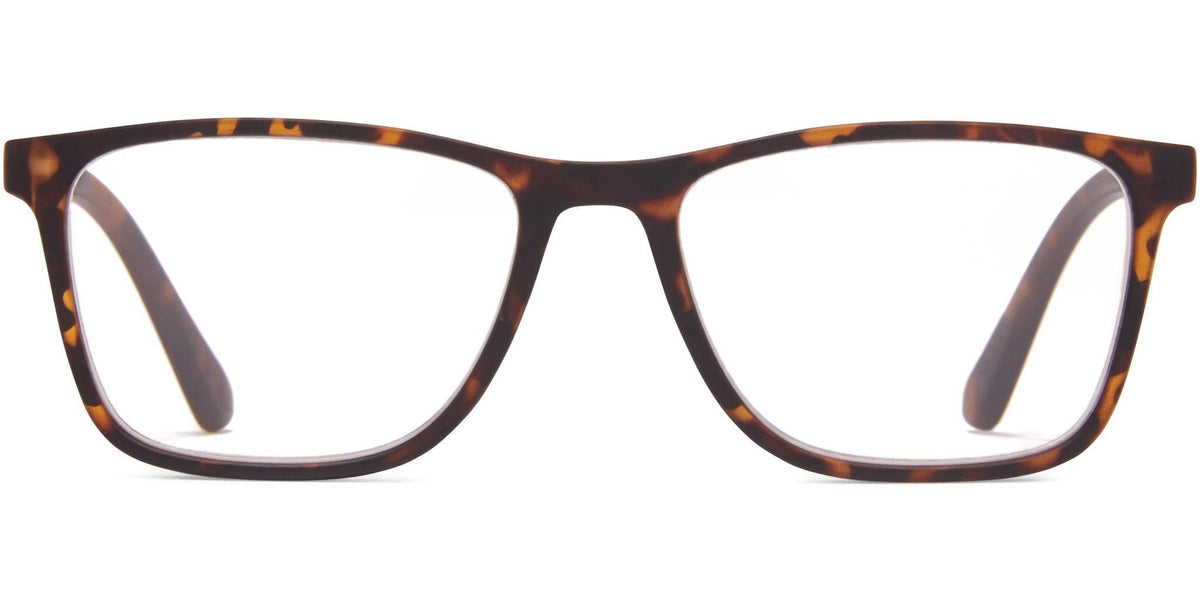 Lincoln - Tortoise / 1.25 - Reading Glasses