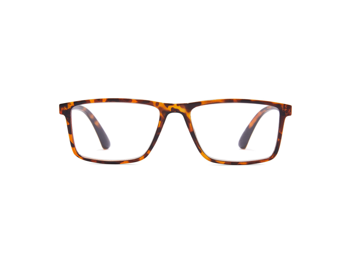 Scott - Tortoise / 1.25 - Blue Light Filtering Readers