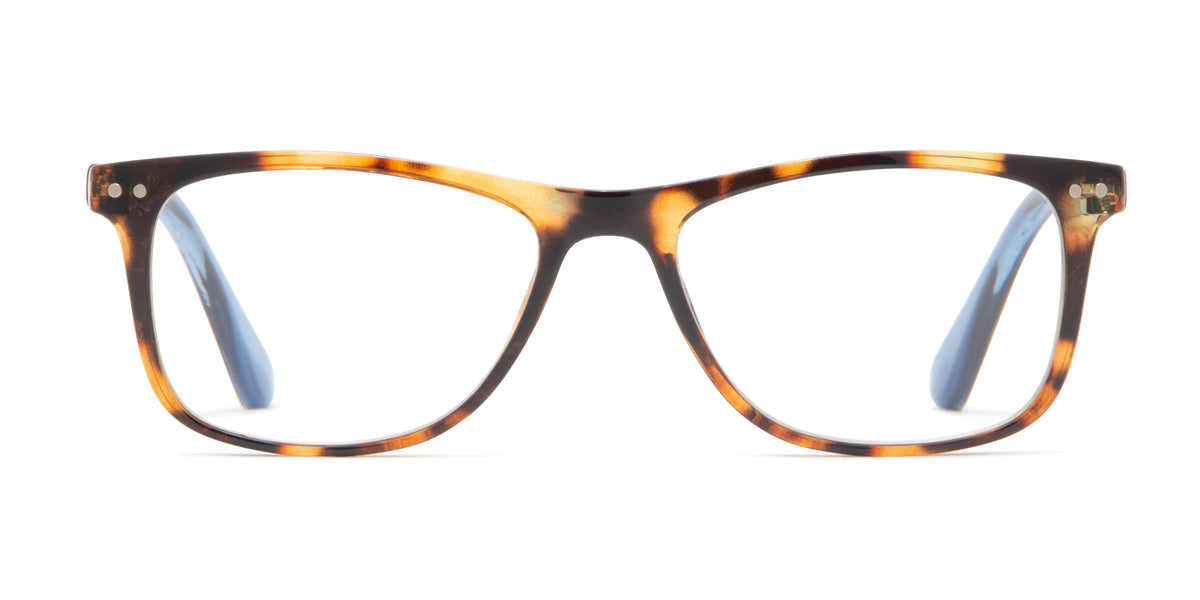 Winnie - Tortoise / 1.25 - Reading Glasses
