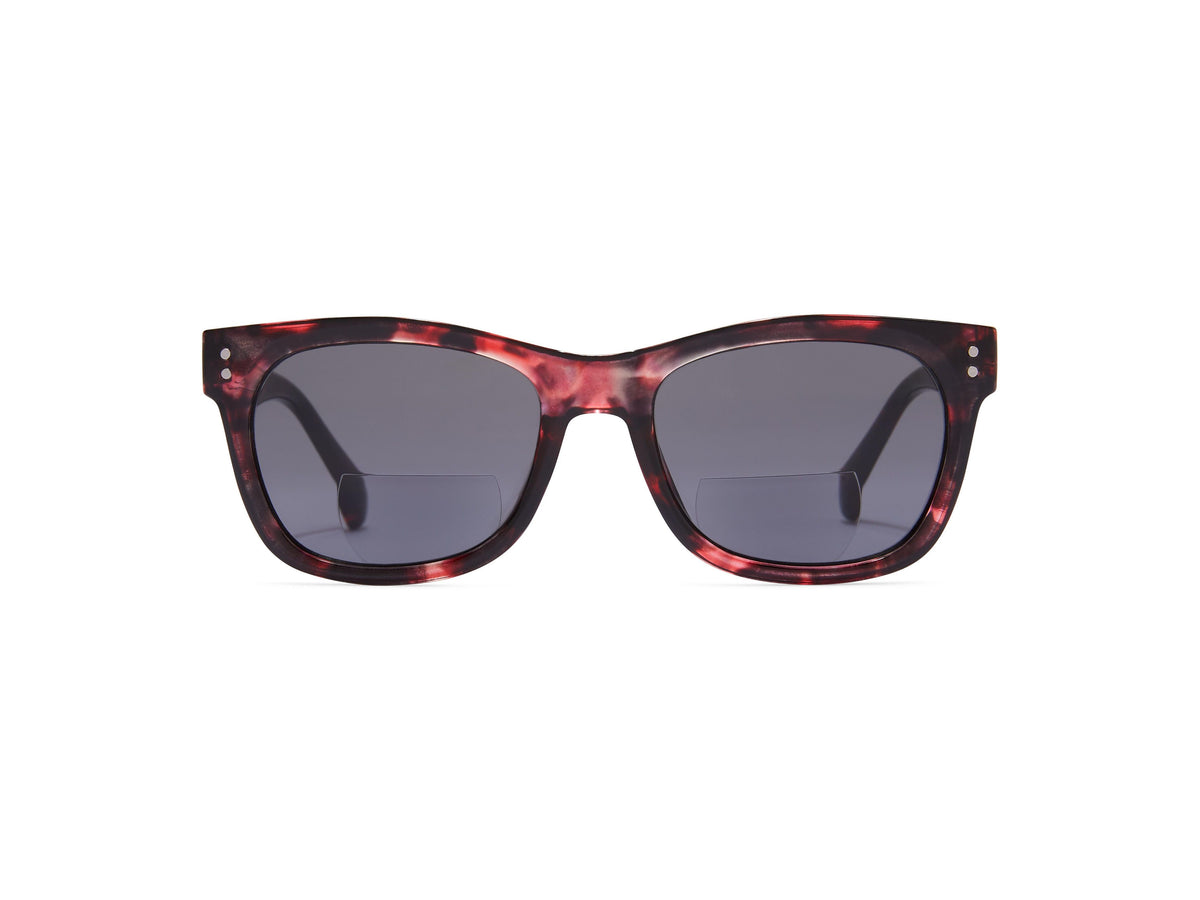 Carter - Tortoise / 1.25 - Reading Sunglasses