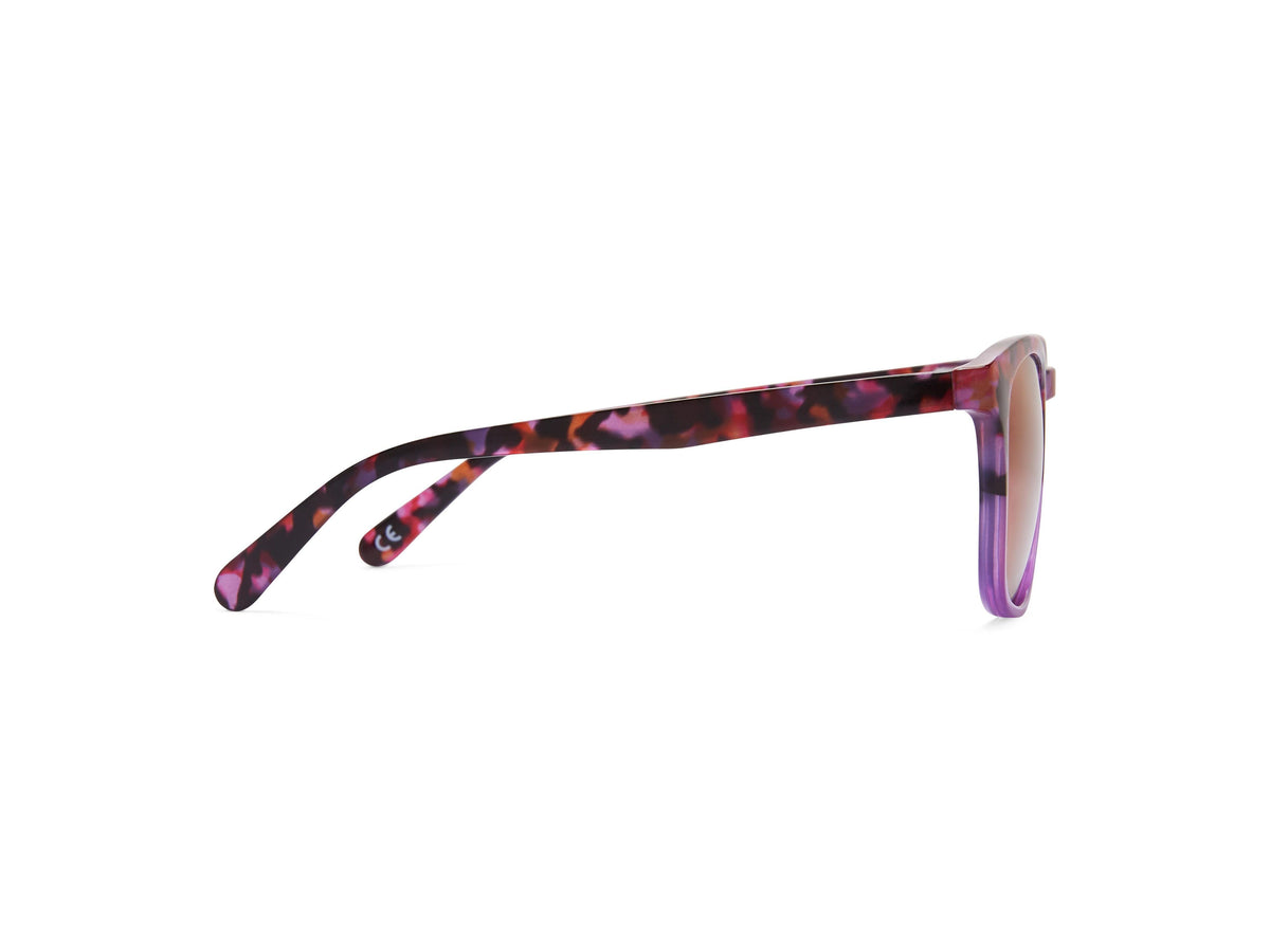 Phoenix - Sunglasses