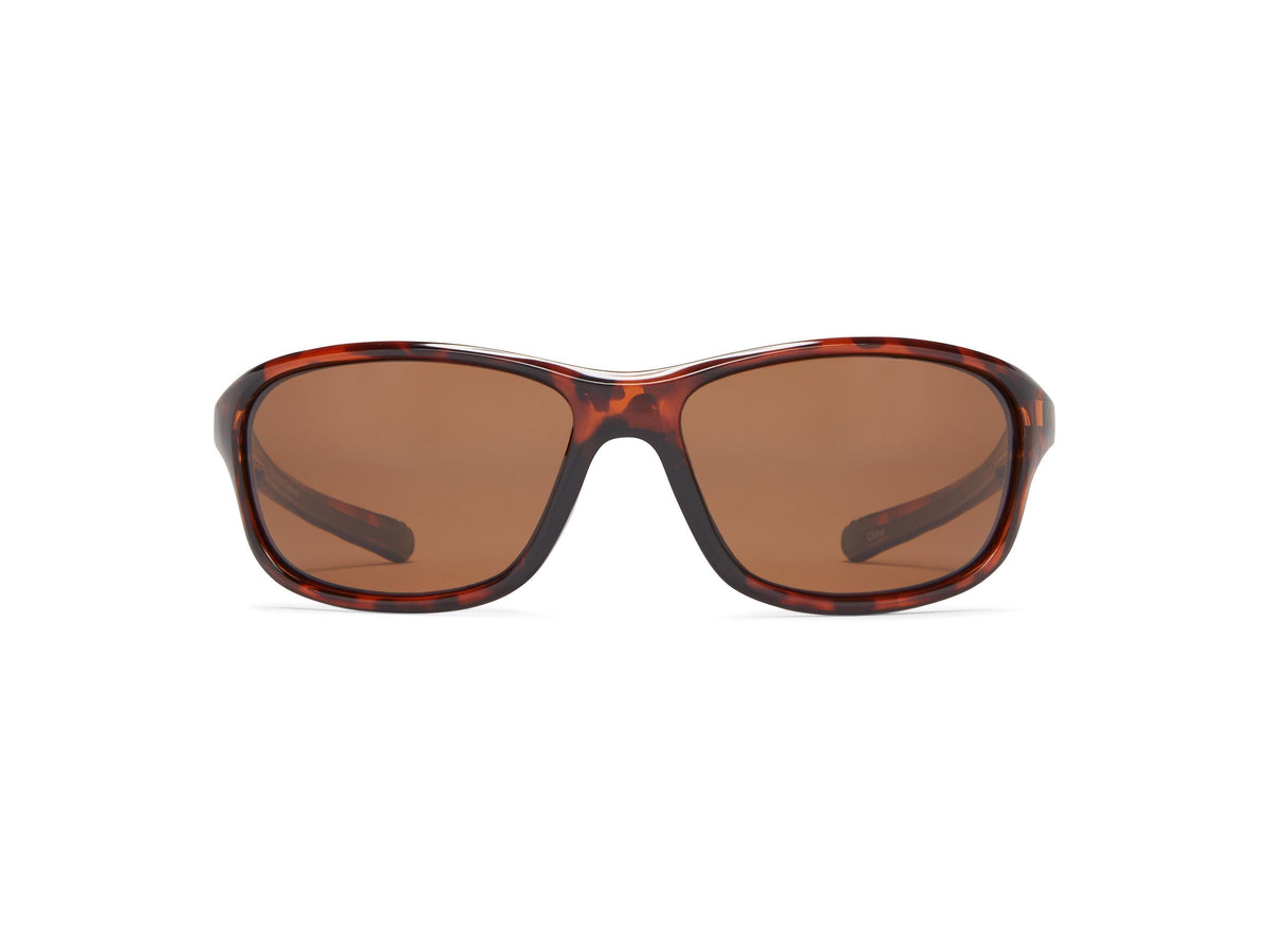 Cruiser - Shiny Tortoise/Brown Lens - Polarized Sunglasses