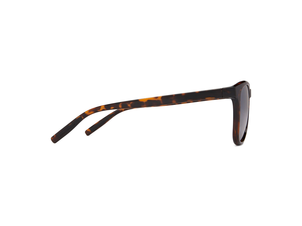 Aidan - Tortoise/Gray Lens - Sunglasses