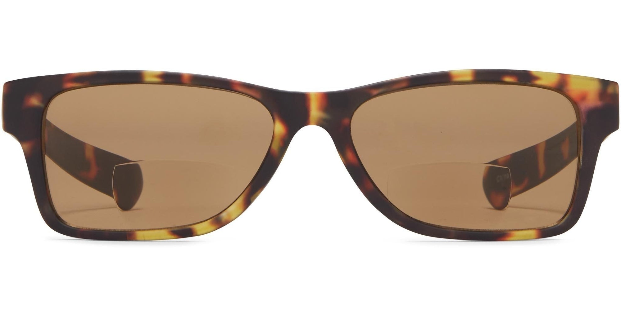 Bandon Bifocal - Tortoise/Brown Lens / 1.25 - Reading Sunglasses