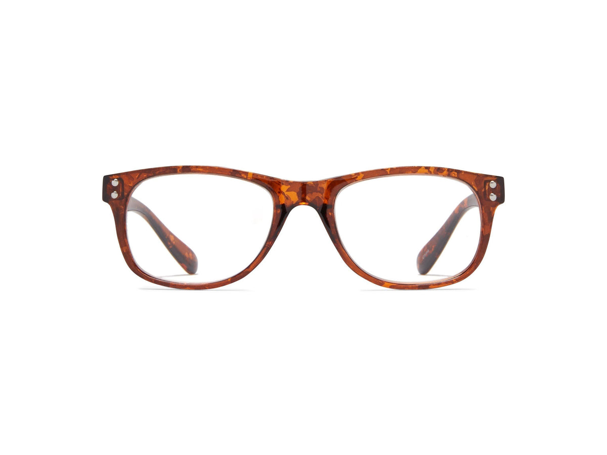 Canterbury - Tortoise / 1.25 - Reading Glasses