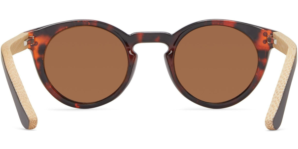 Chatham - Sunglasses