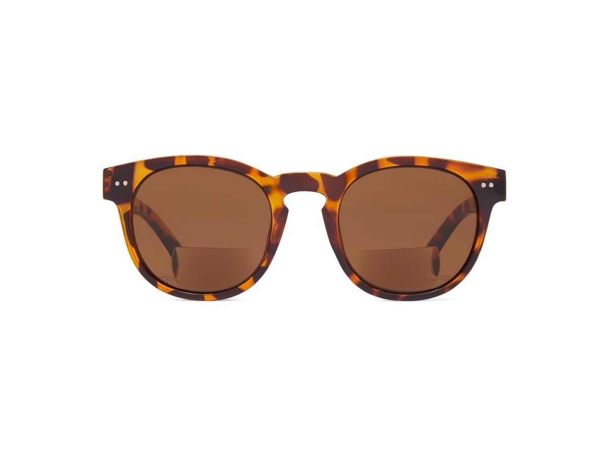 Inverness Bifocal - Tortoise/Brown Lens / 1.25 - Reading Sunglasses