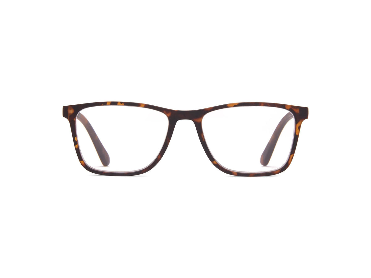 Lincoln - Tortoise / 1.25 - Reading Glasses