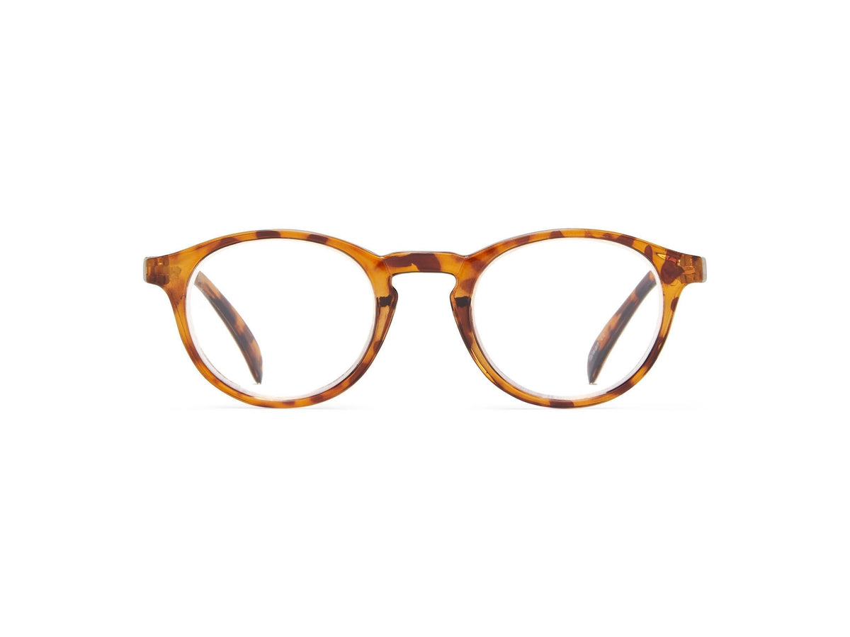 Taylor - Tortoise with Aqua / 1.25 - Reading Glasses