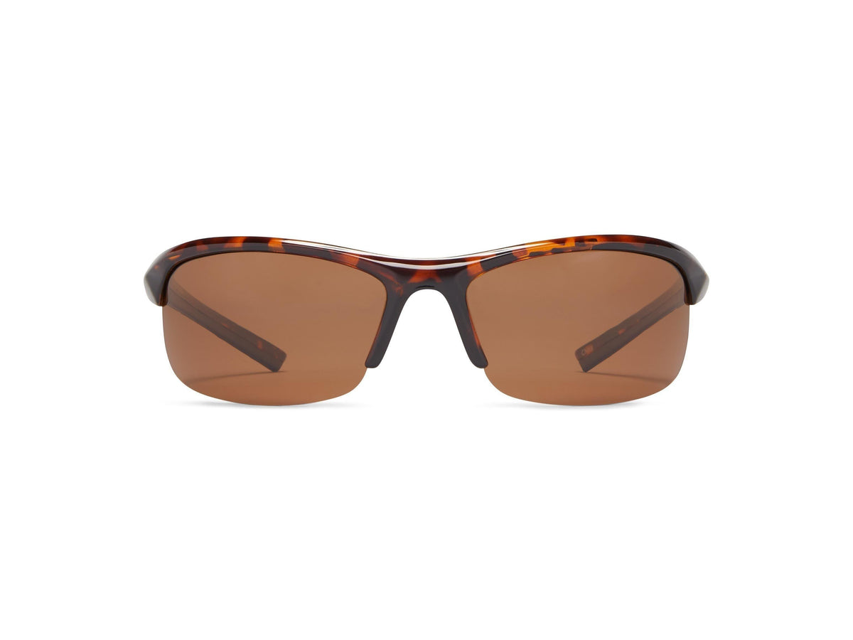 Tern - Shiny Tortoise/Brown Lens - Polarized Sunglasses